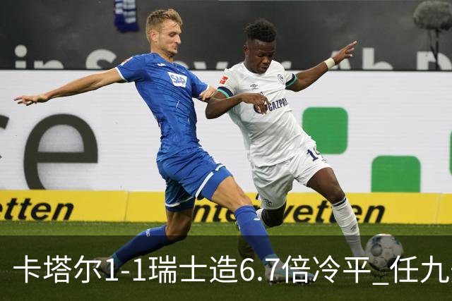 卡塔尔1-1瑞士造6.7倍冷平 任九开53注25.3万元